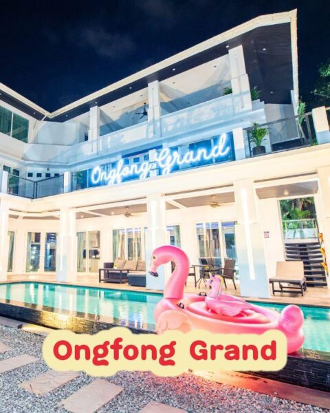 DV-3056 Ongfong grand