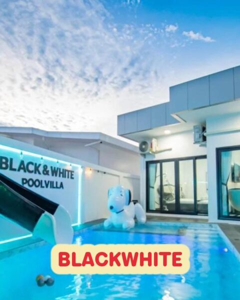DV-2239 BLACKWHITE