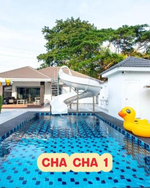 DV-2307 CHA CHA 1