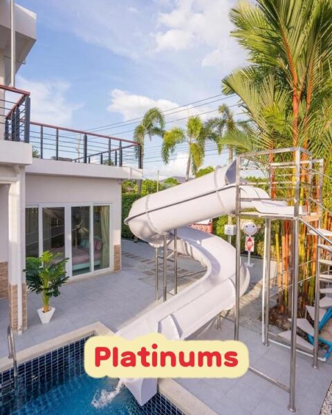 DV-1411 Platinums