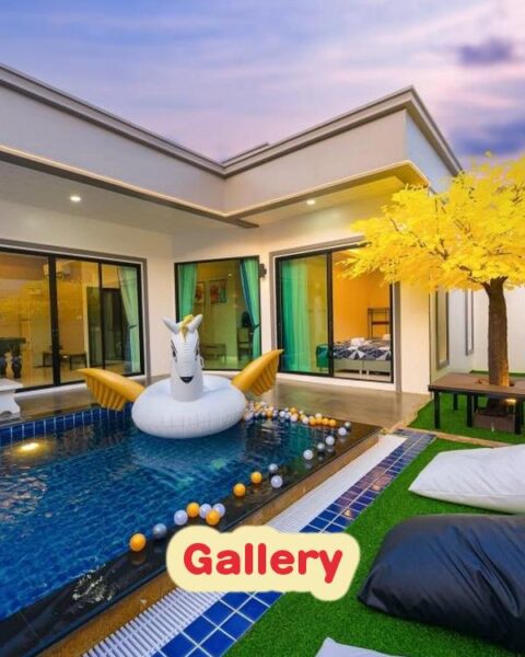 DV-214 Gallery
