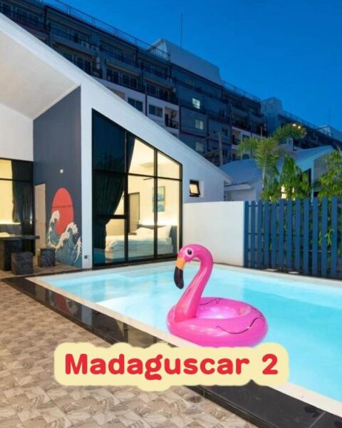 DV-2263 Madaguscar 2