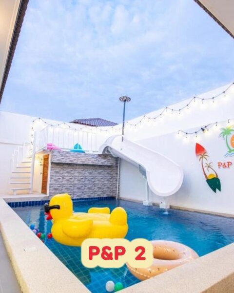 DV-2346 P&P 2