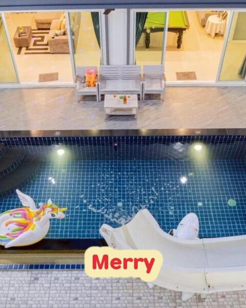 DV-1902 Merry