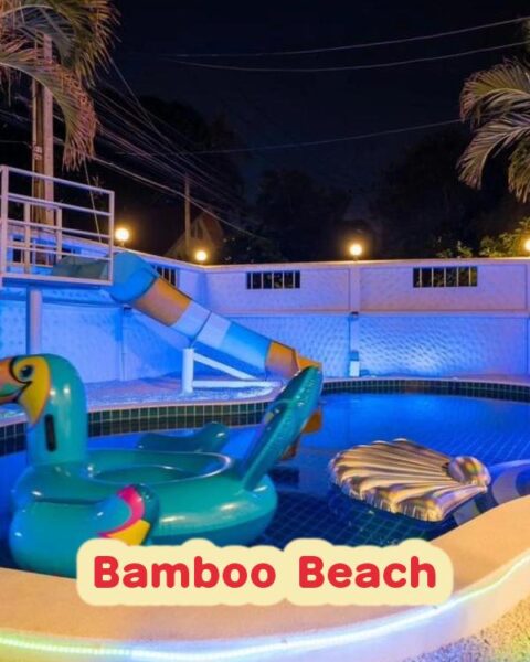 DV-529 Bamboo Beach