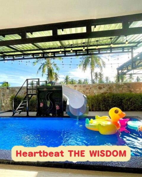 DV-1232 Heartbeat THE WISDOM