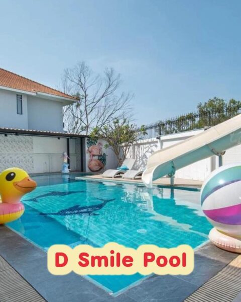 DV-287 D Smile Pool
