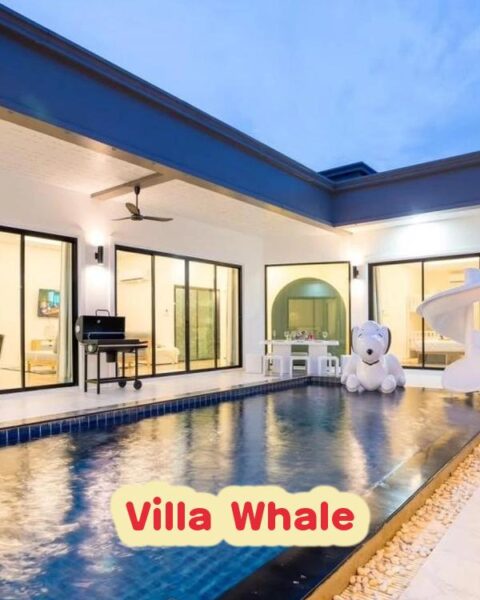 DV-162 Villa Whale