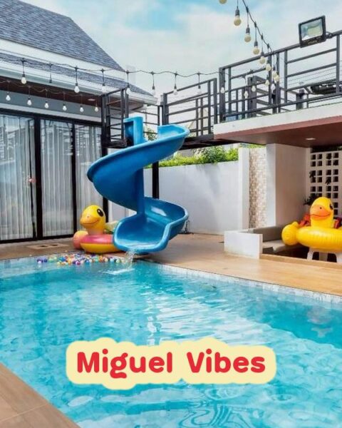 DV-1421 Miguel Vibes