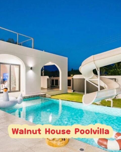 DV-1981 Walnut House Poolvilla
