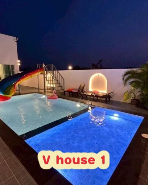 DV-3095 V house 1