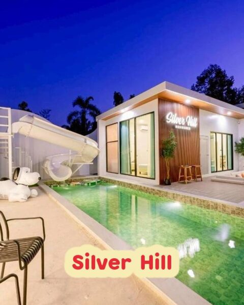 DV-3031 Silver Hill