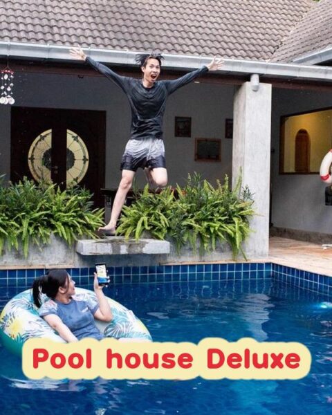 DV-2819 Pool house Deluxe