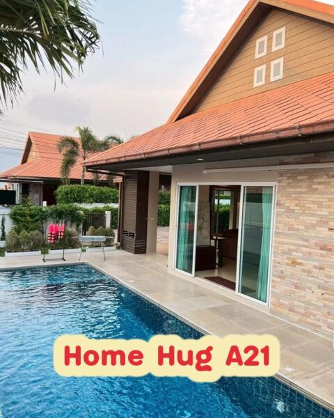 DV-3033 Home Hug A21