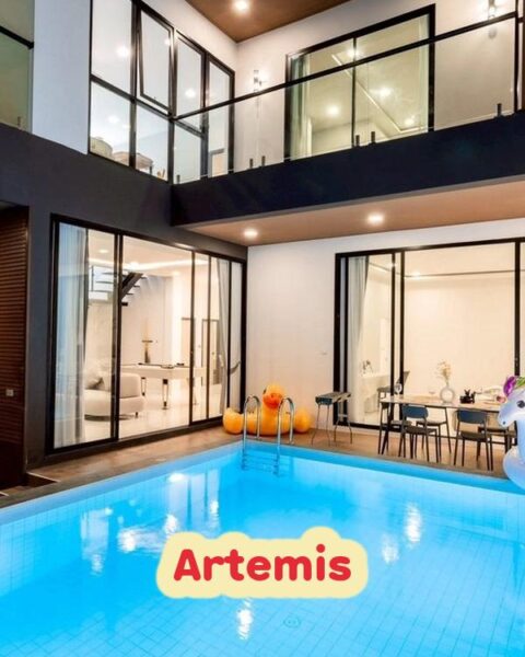 DV-3093 Artemis