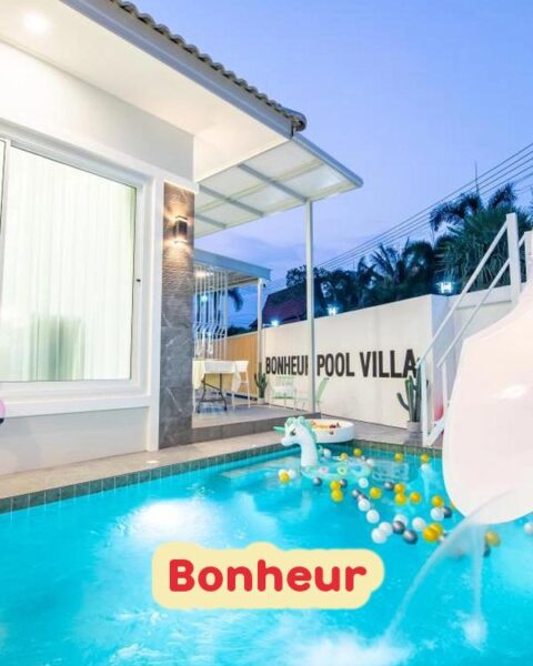 DV-2581 Bonheur