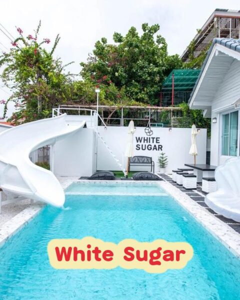 DV-2781 White Sugar