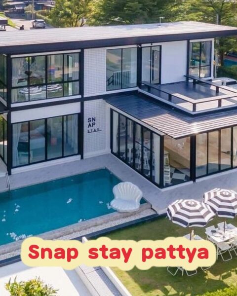 DV-1386 Snap stay pattya