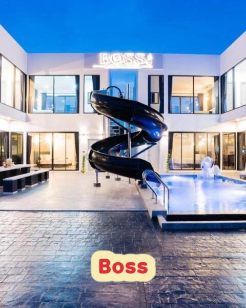 DV-1818 Boss