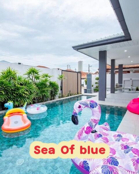 DV-2780 Sea Of blue