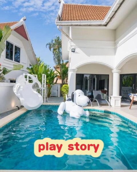 DV-1341 play story