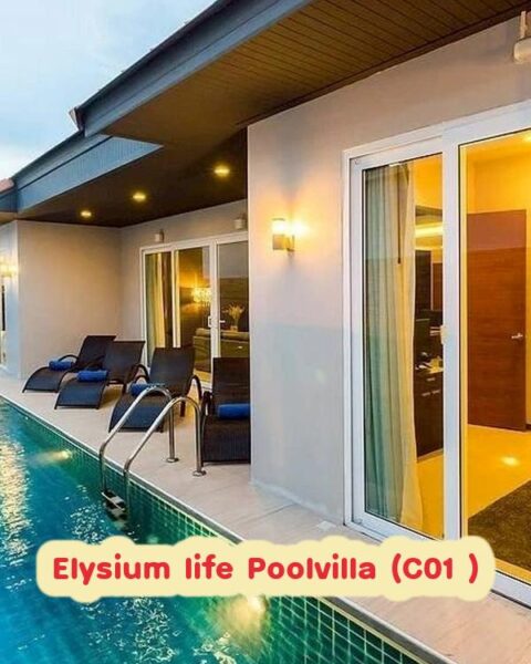 DV-3088 Elysium life Poolvilla (C01 )