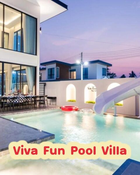 DV-2636 Viva Fun Pool Villa