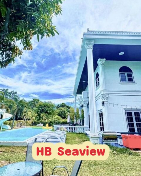 DV-310 HB Seaview