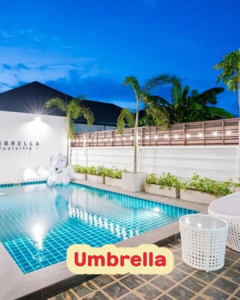 DV-1733 Umbrella