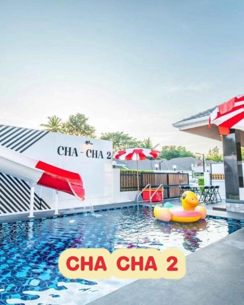 DV-2337 CHA CHA 2
