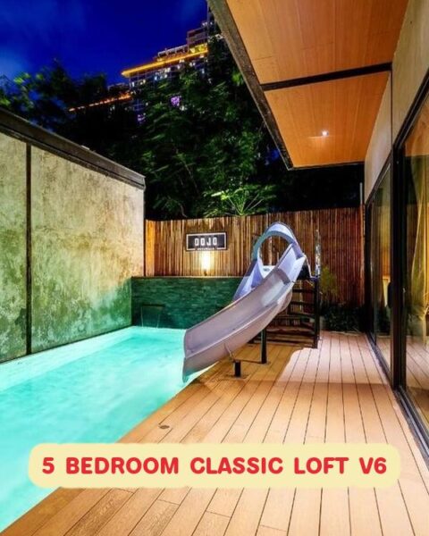 DV-2990 5 BEDROOM CLASSIC LOFT V6