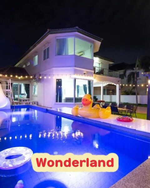DV-859 Wonderland
