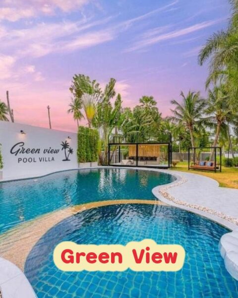 DV-1802 Green View