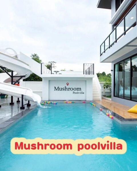 DV-2842 Mushroom poolvilla