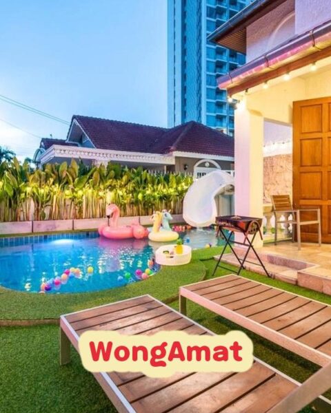DV-431 WongAmat