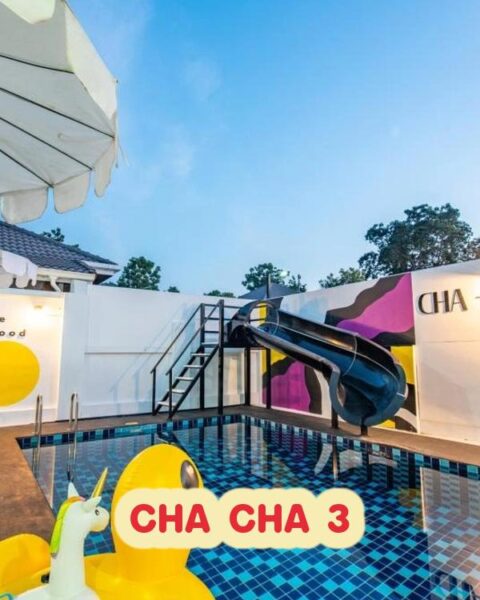 DV-2340 CHA CHA 3