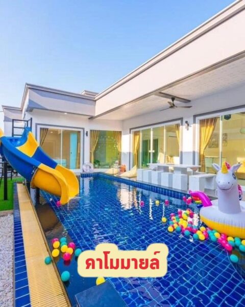DV-424 คาโมมายล์