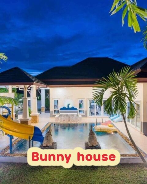 DV-1274 Bunny house
