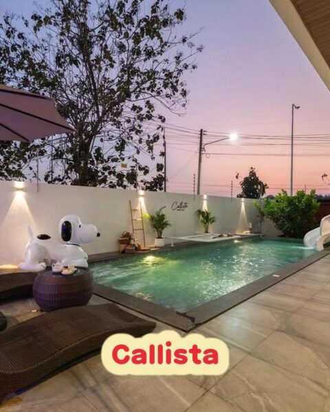 DV-684 Callista