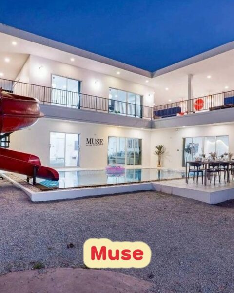 DV-3090 Muse