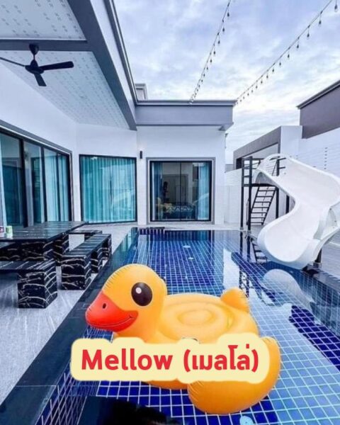 DV-1989 Mellow (เมลโล่)