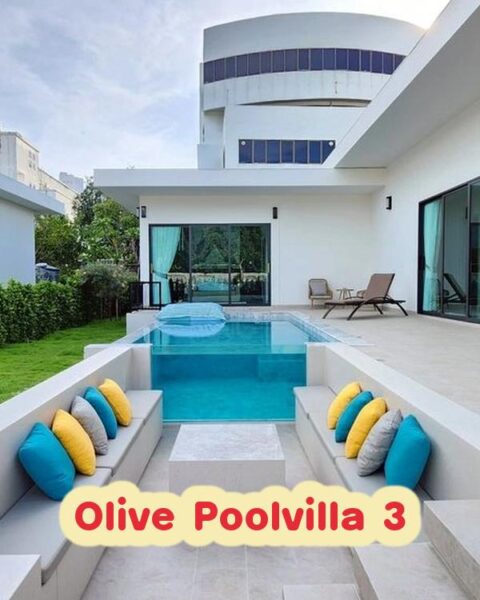 DV-2796 Olive Poolvilla 3