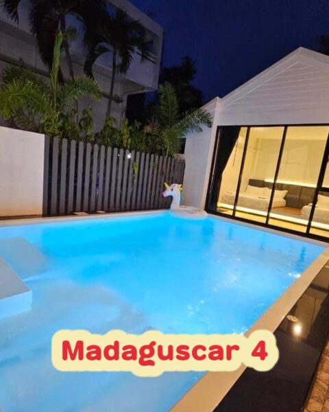 DV-2265 Madaguscar 4