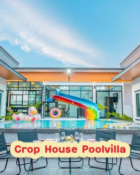 DV-2750 Crop House Poolvilla