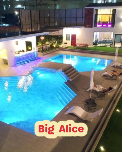 DV-1865 Big Alice