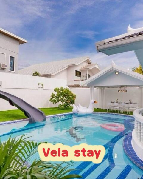 DV-3098 Vela stay