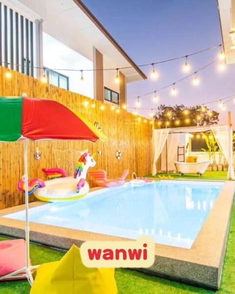 DV-2199 wanwi